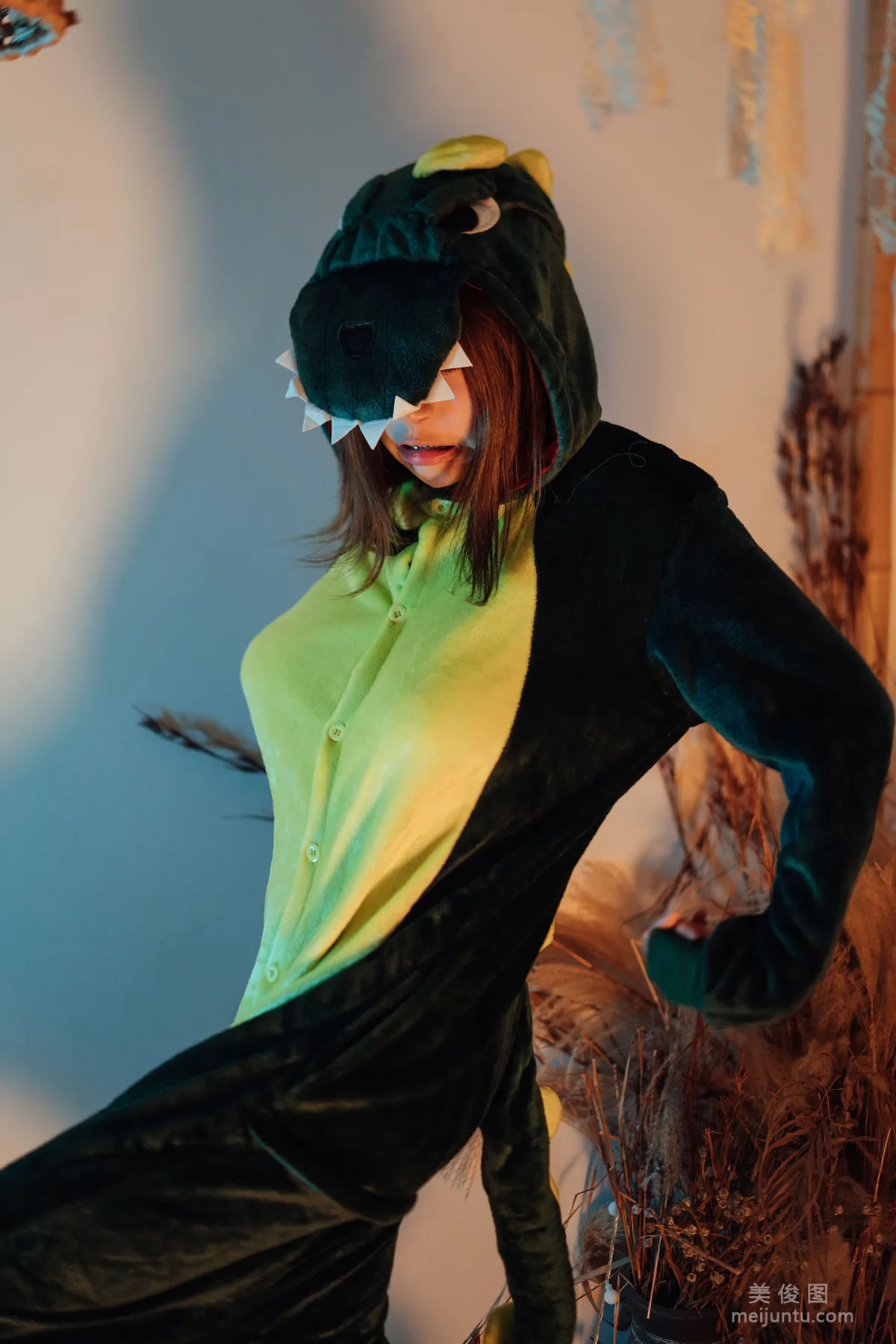 Nai Xijiang: Web Idols photo 3