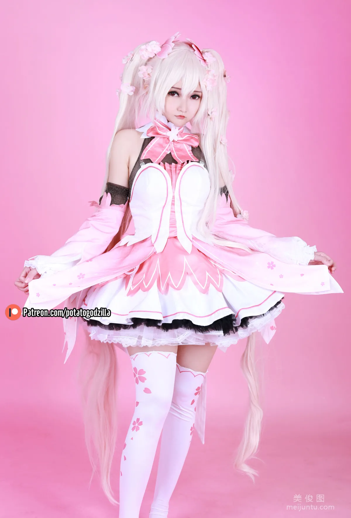 Coser Potato Godzilla, Sakura Miku, Set photo 2