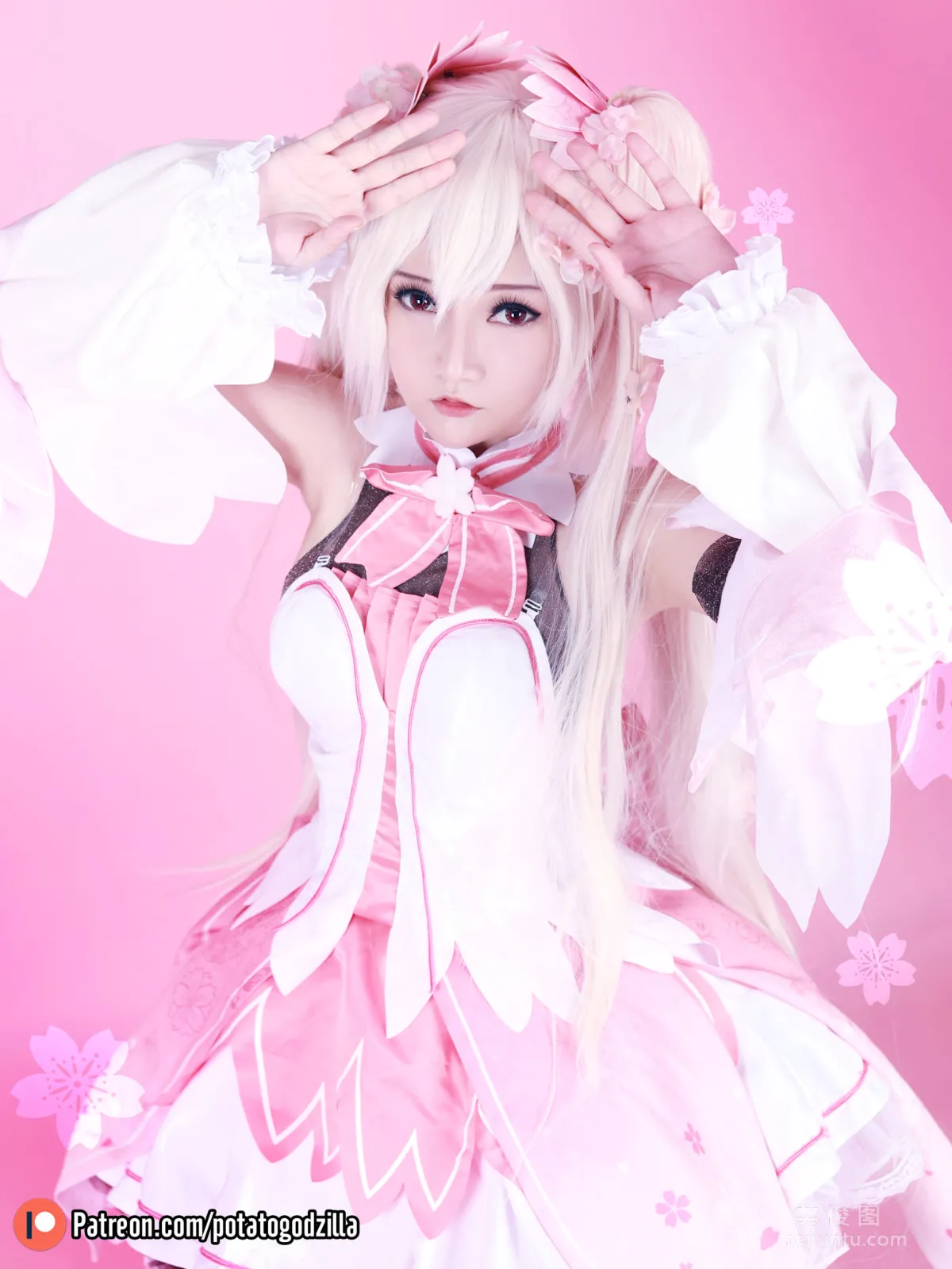 Coser Potato Godzilla, Sakura Miku, Set photo 7
