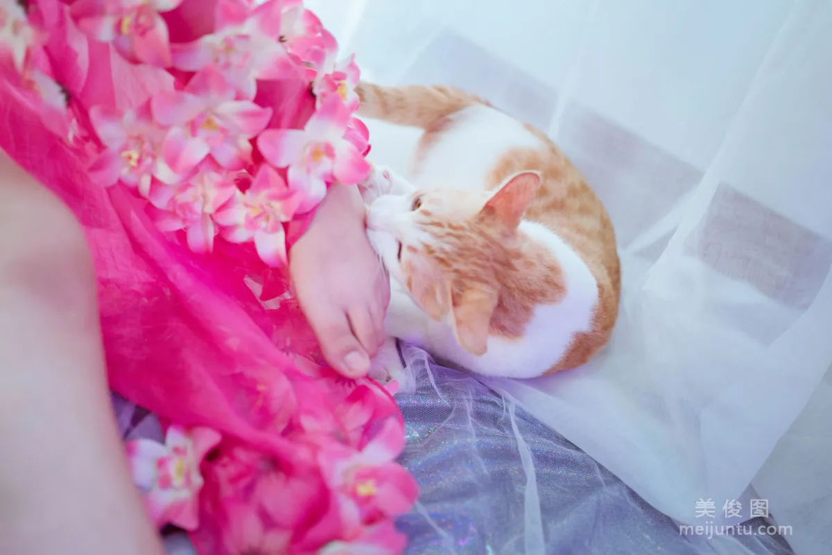 [COS] Aban Jintian Henkai Xin - Killing Academy Photo Set photo 4