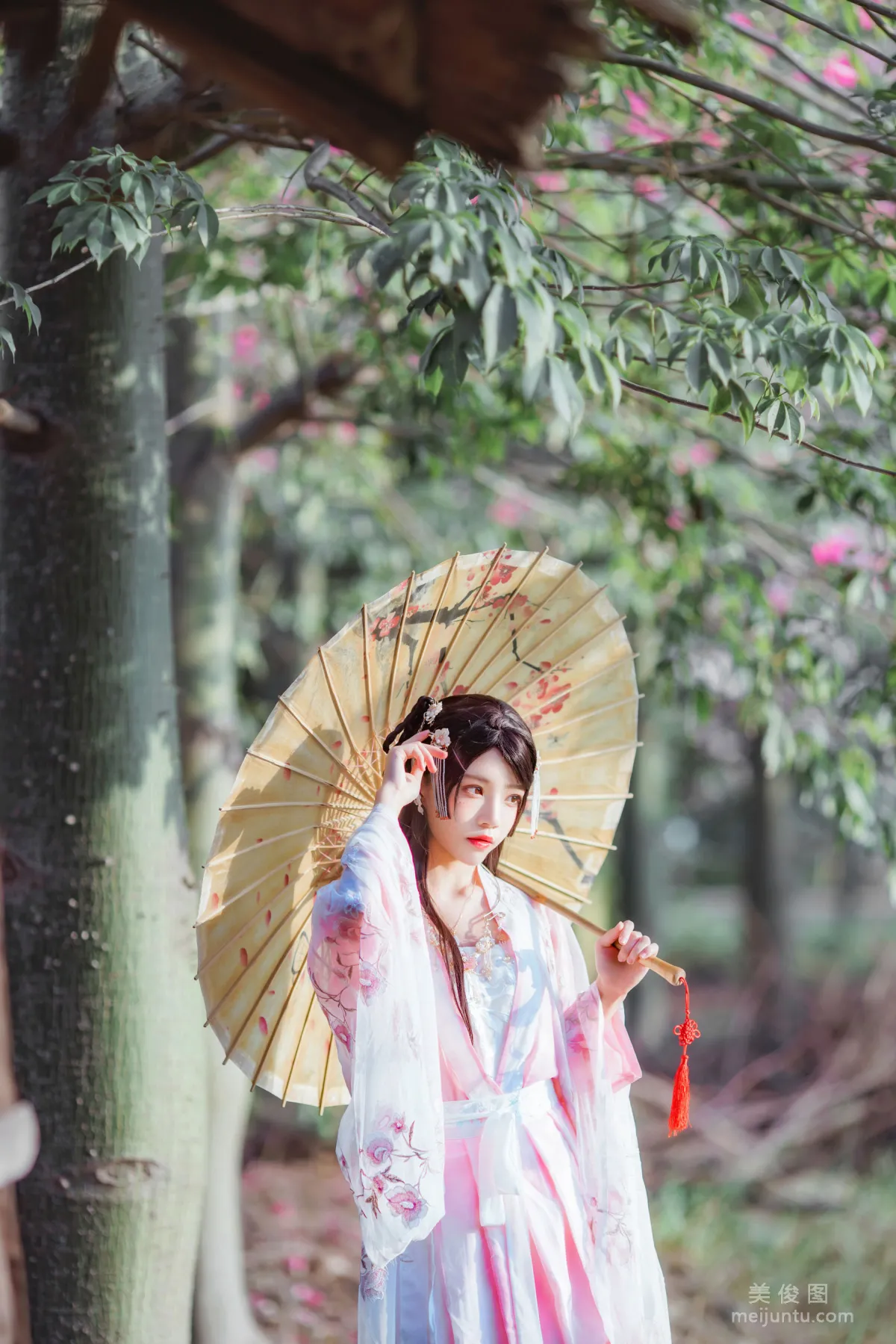 Ying Taomiao: Web Idols photo 3