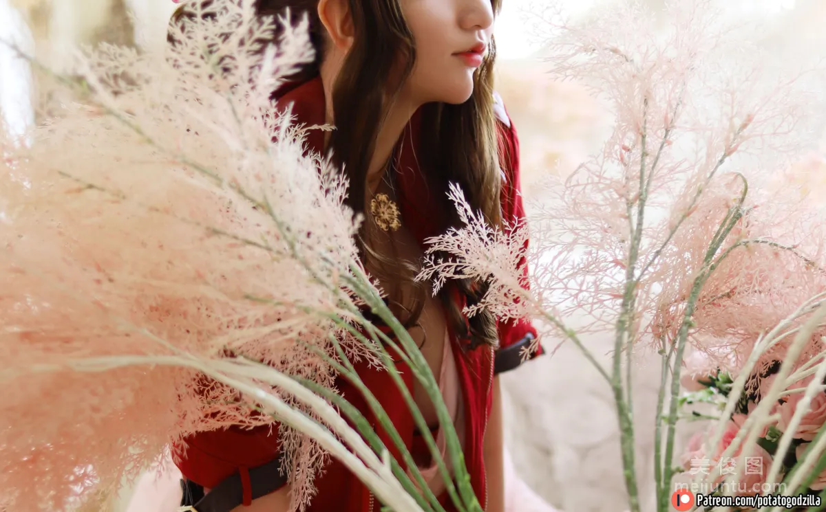 Coser Potato Godzilla - Aeris Photo Set photo 8
