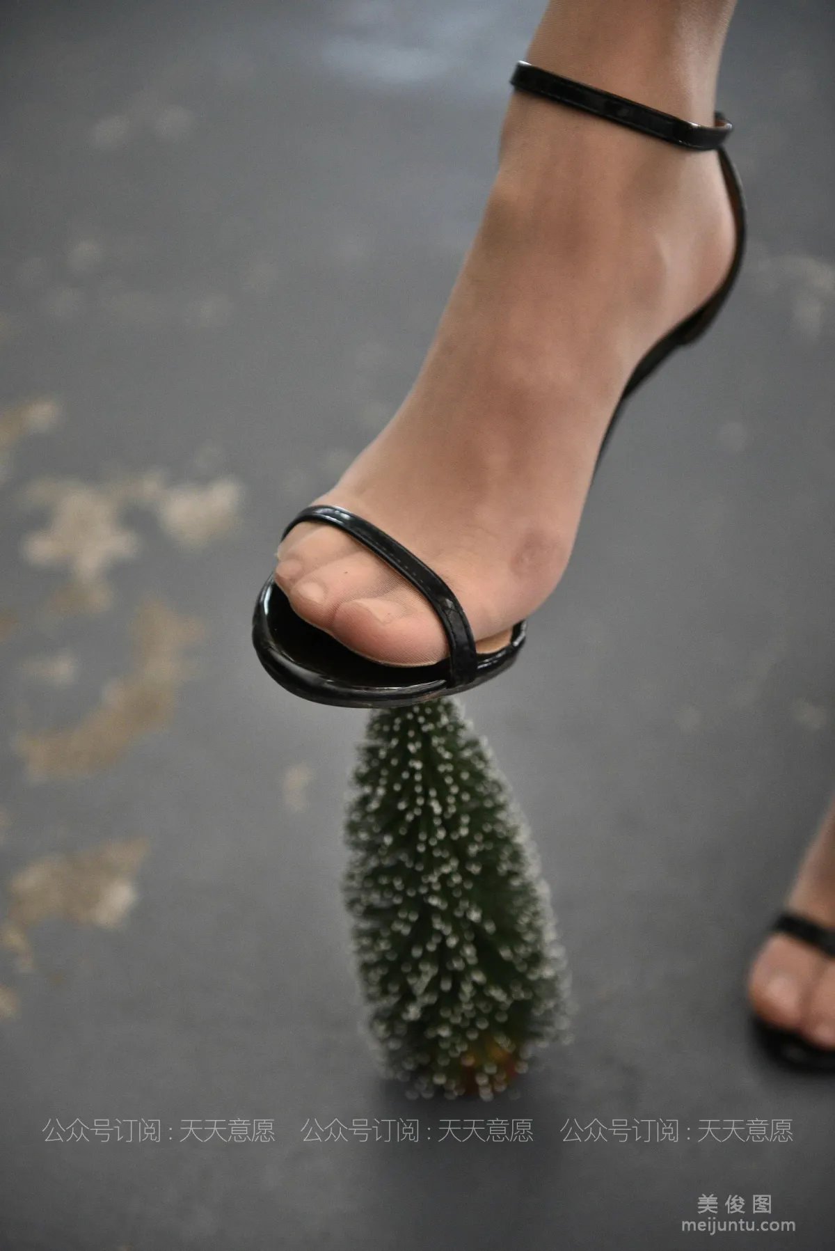 [IESS] Silk Enjoyer 786: Xiao Liu, Shredded Stockings Afternoon Tea photo 65