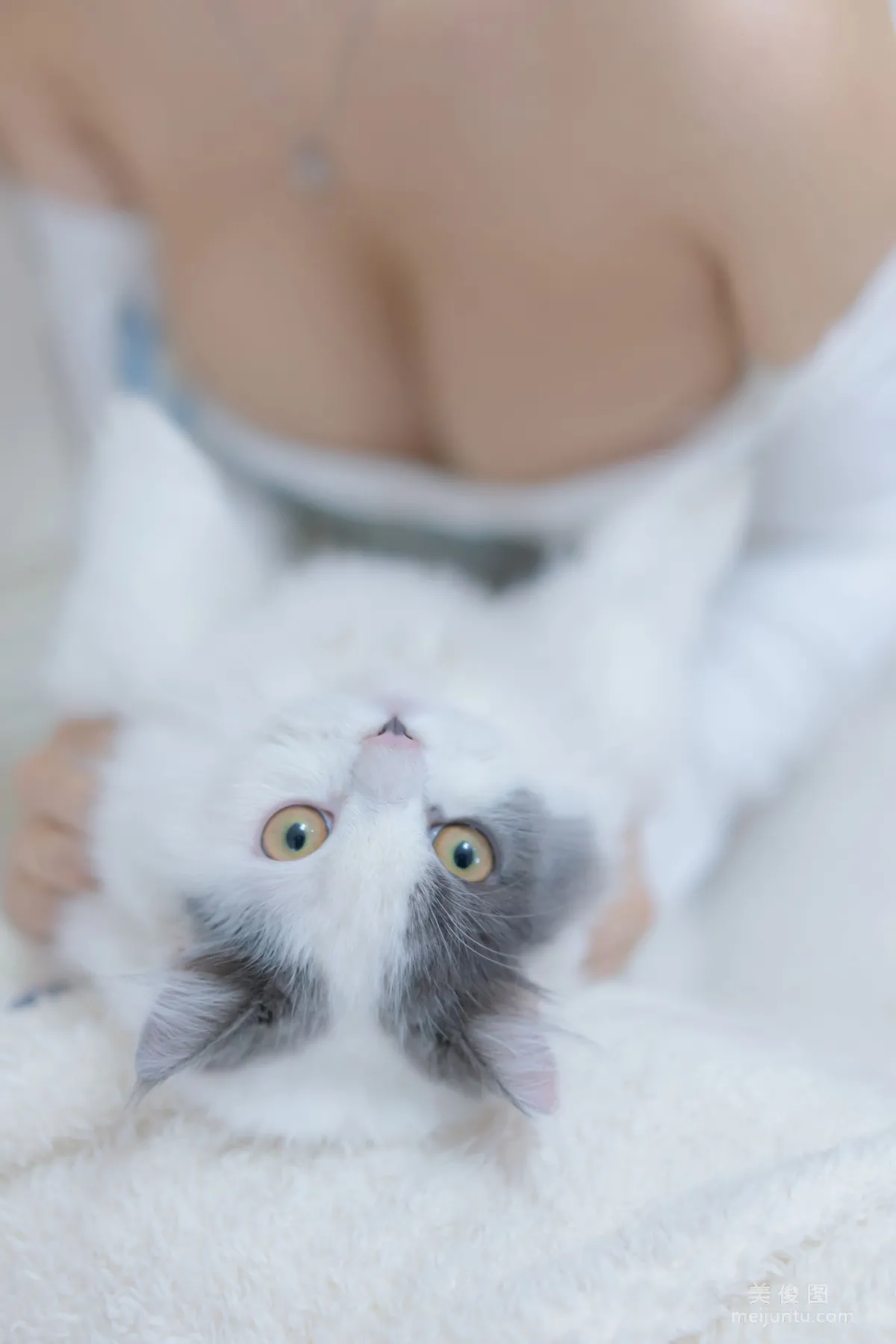 Douyu Mixianxian sama, Me and the Cat Photo Set photo 58