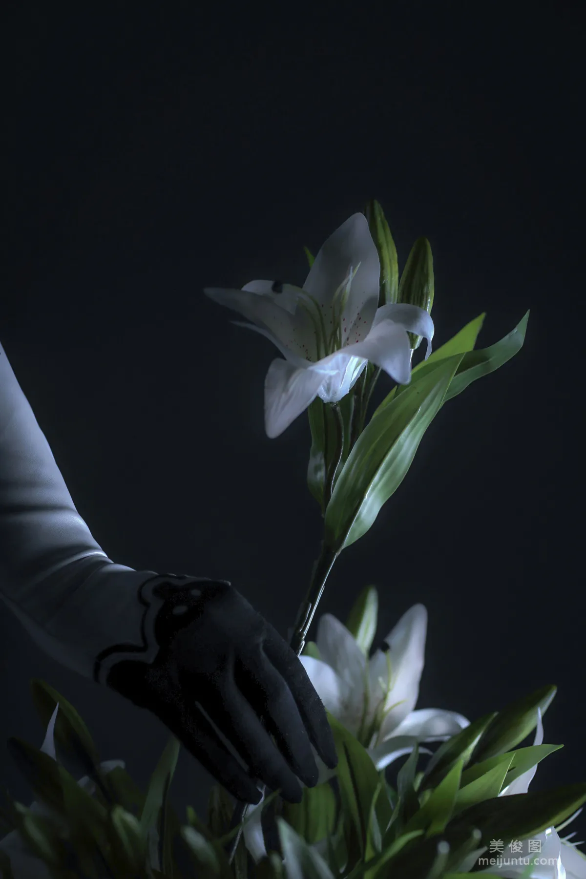 国外美女SayaTheFox - 2B Floral6