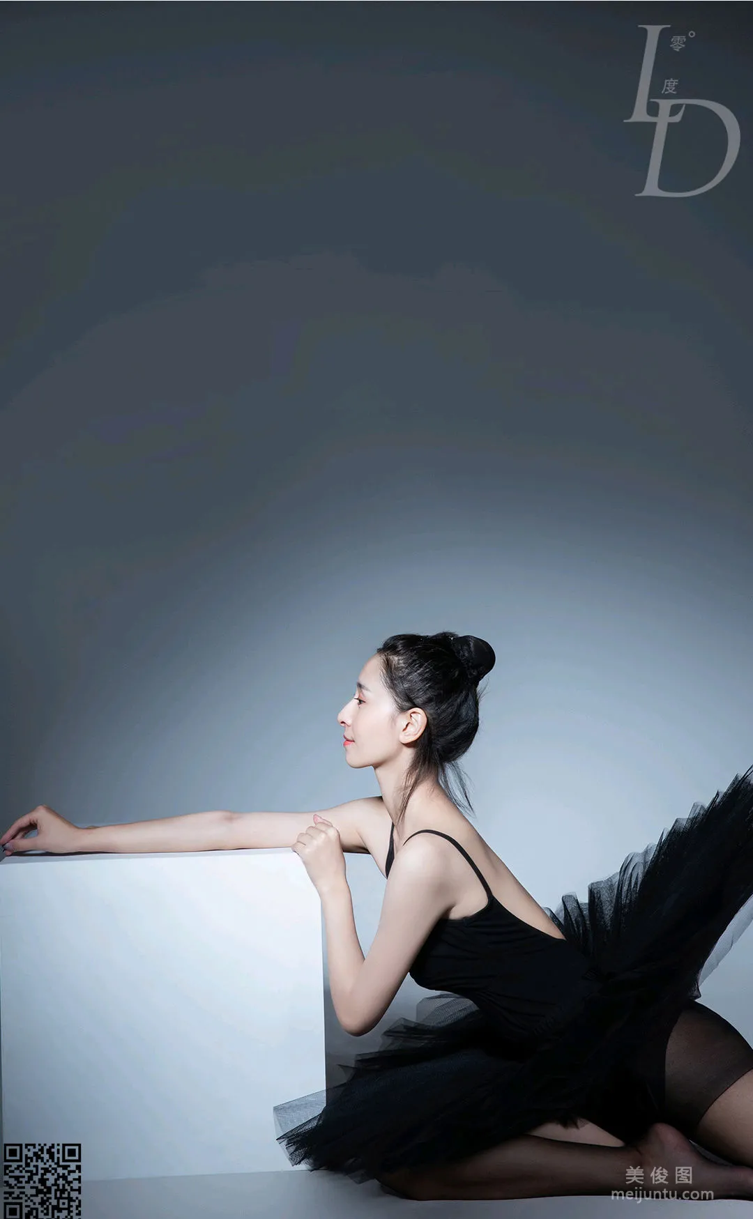 Gao Li: LD No. 072 photo 28