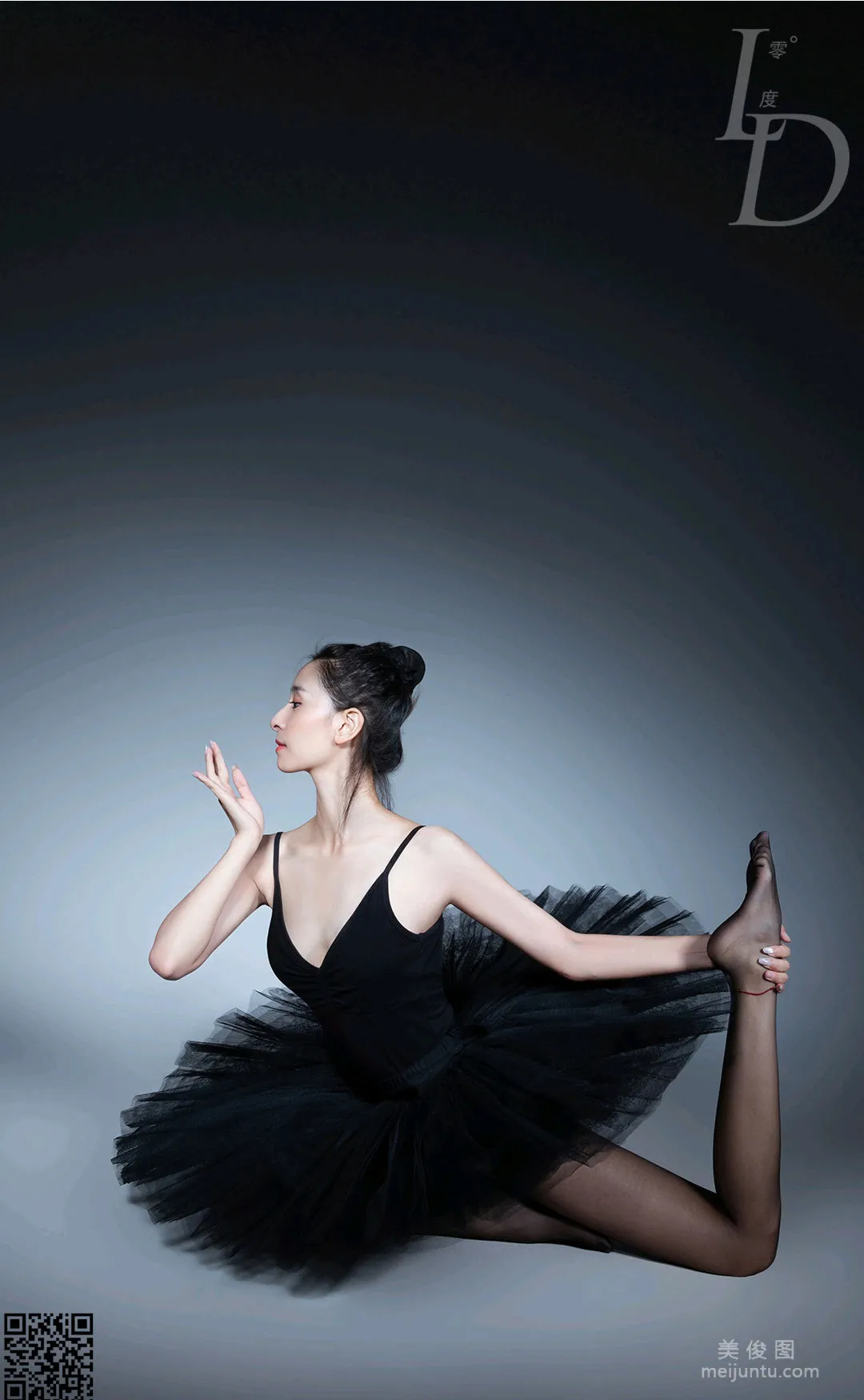 Gao Li: LD No. 072 photo 37