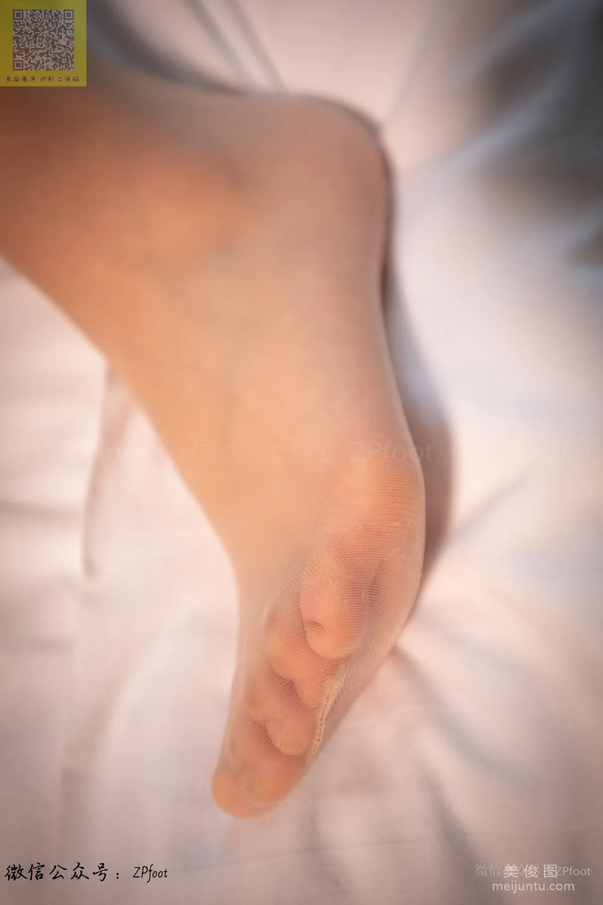 LSS No. 288 photo 66