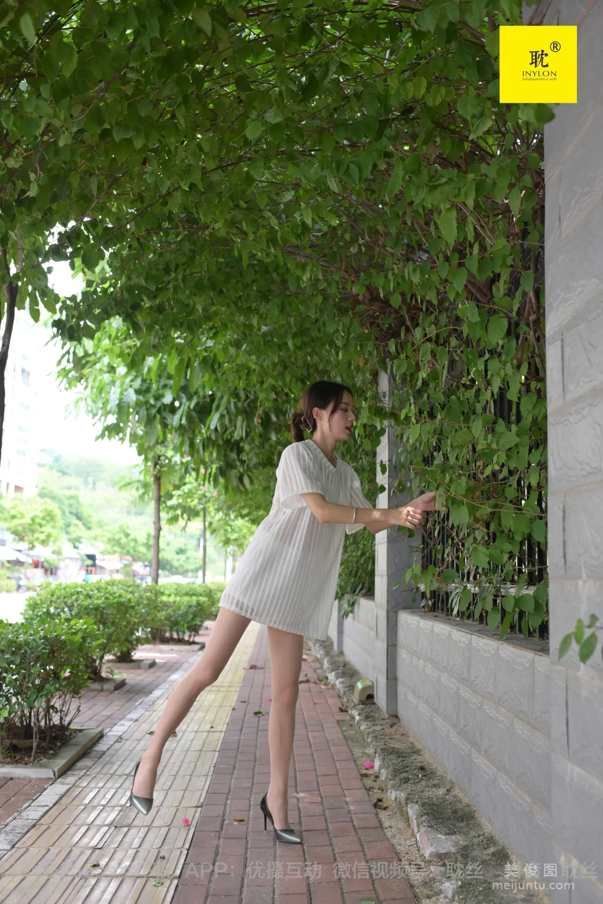 Xiao Liu: IESS N photo 57