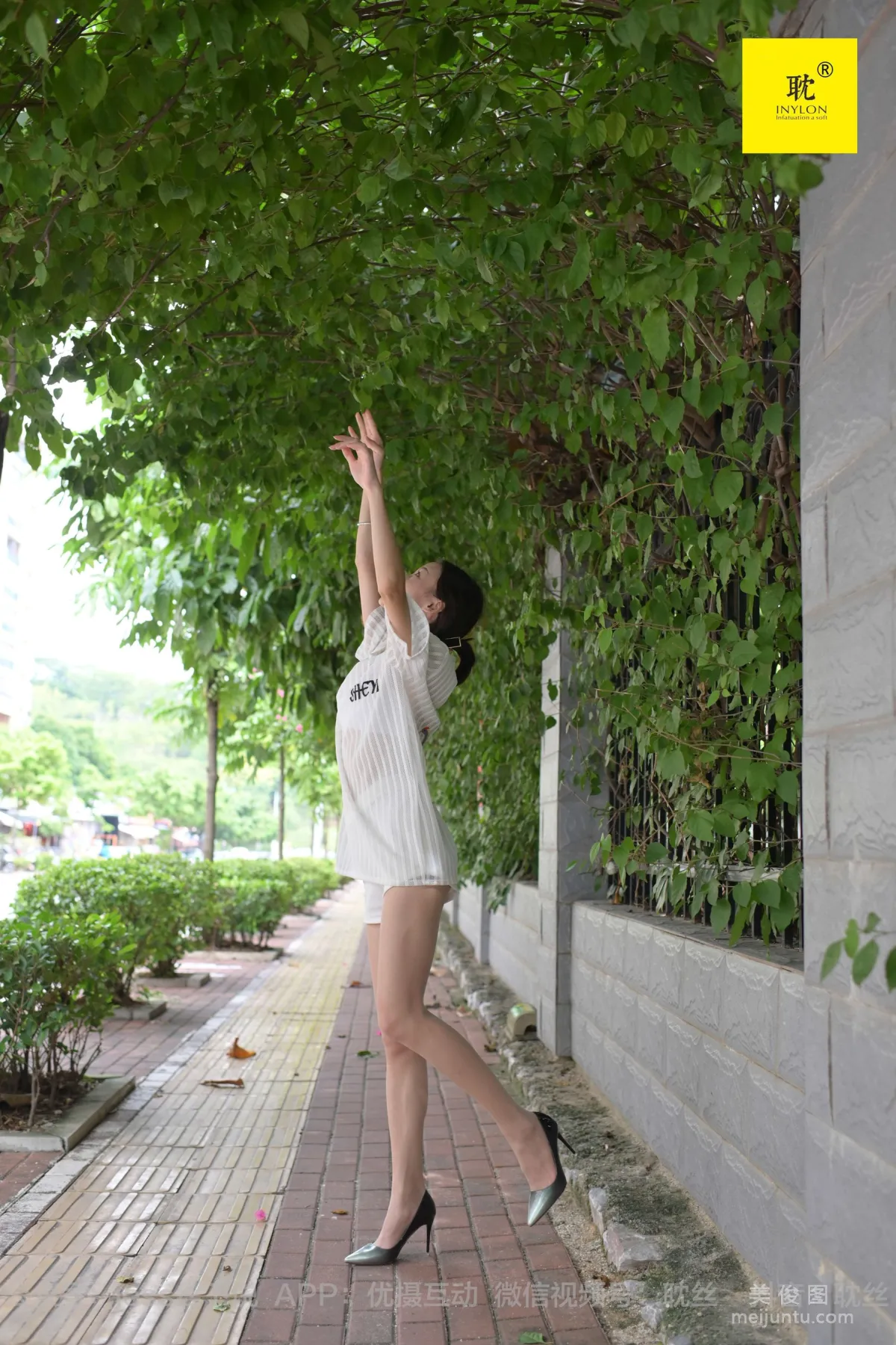Xiao Liu: IESS N photo 55