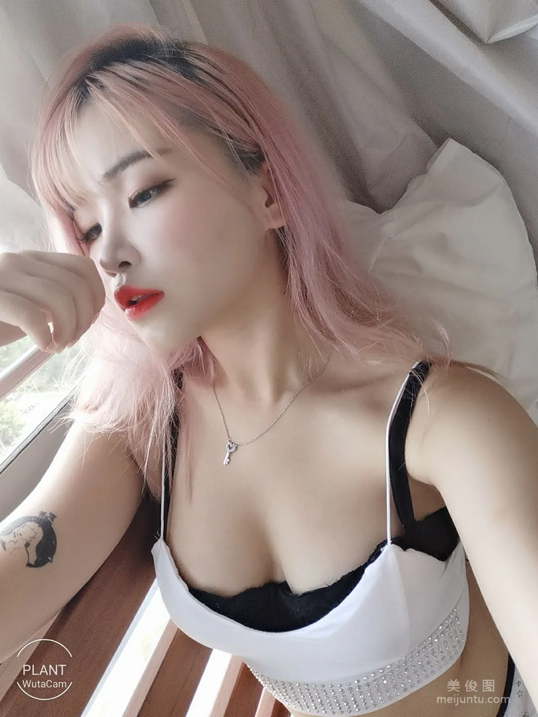 Plant Lily: Web Idols photo 62