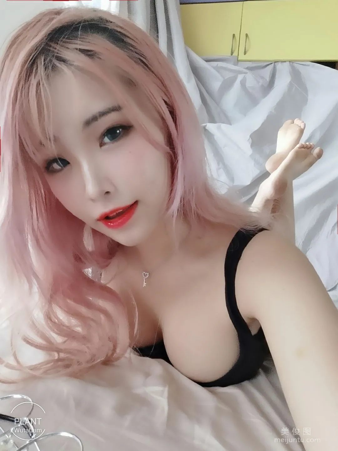 Plant Lily: Web Idols photo 52