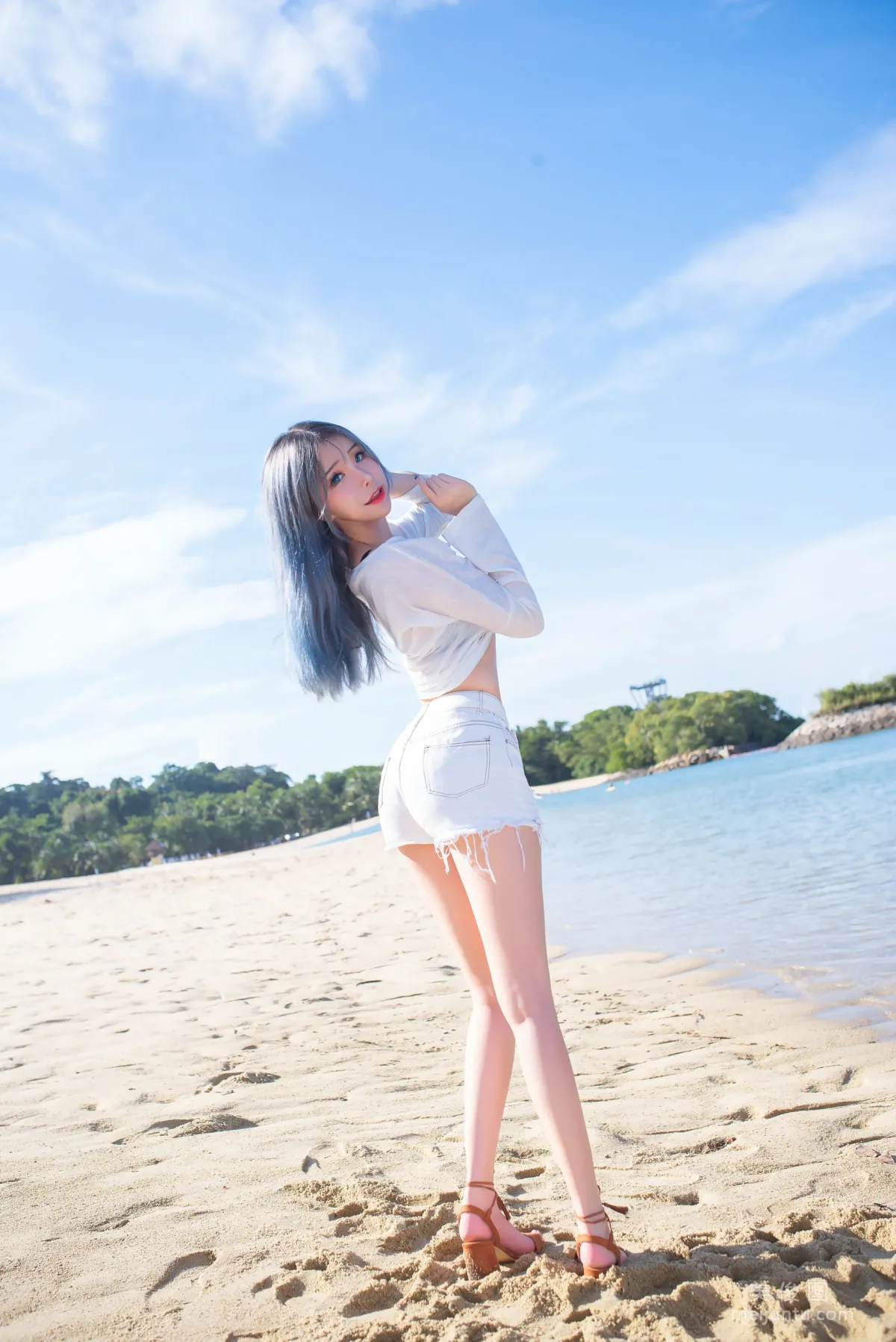 [Web Idols] Plant Lily - Beach lily photo 3