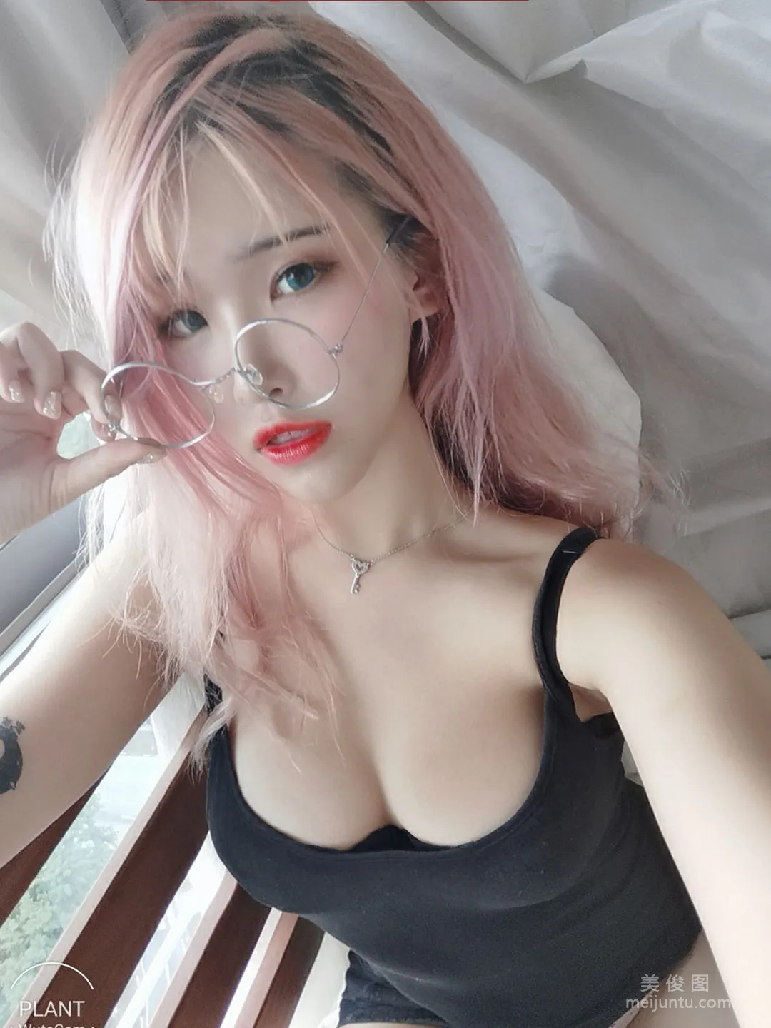 Plant Lily: Web Idols photo 41