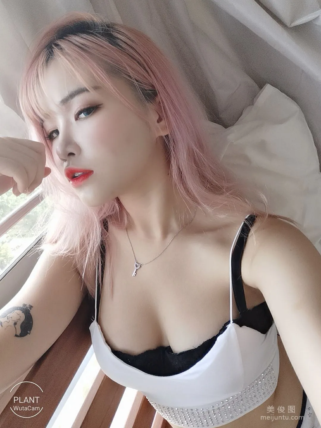 Plant Lily: Web Idols photo 63