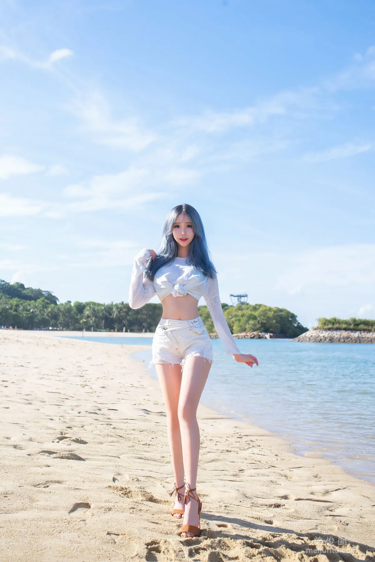 [Web Idols] Plant Lily - Beach lily photo 39