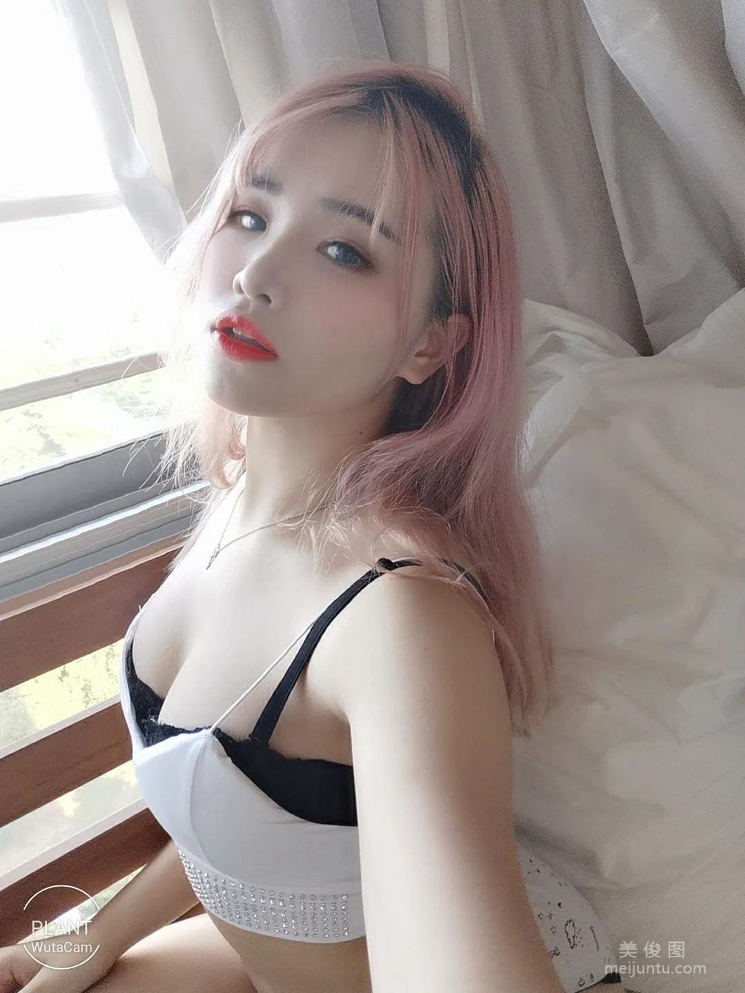 Plant Lily: Web Idols photo 10