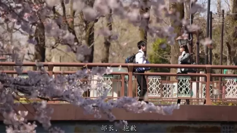ssni-546:橋本有菜，第一次的暗戀對象！