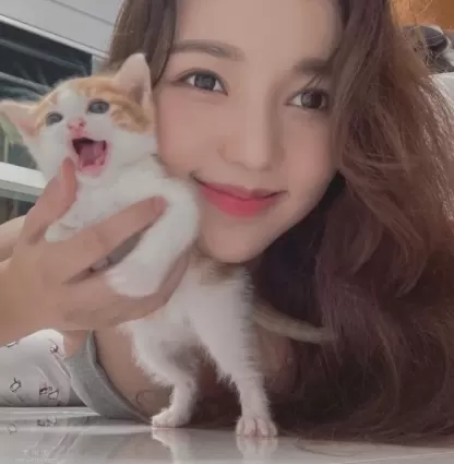 想成為那隻貓！喵皇視線集中「狂盯主人身前歐派」