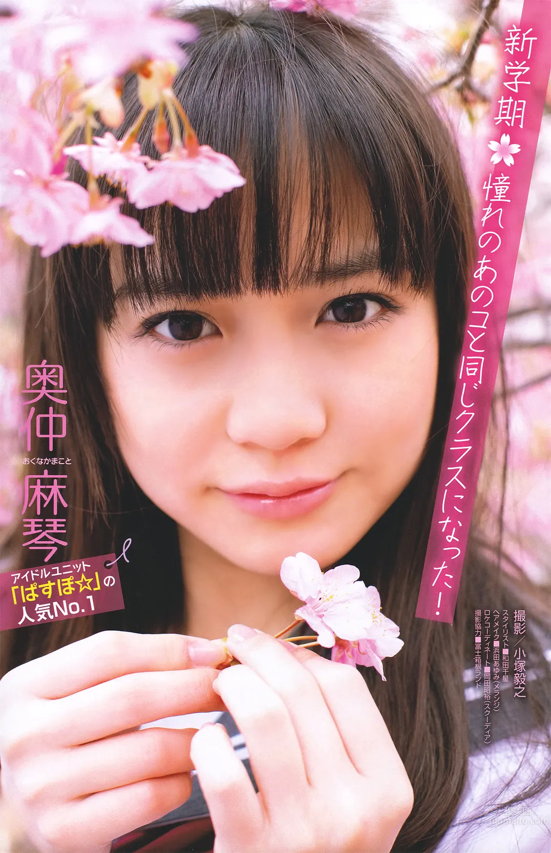 [Young Magazine] 2011 No.19 矶山さやか 奥仲麻琴 山本梓 小池唯_8