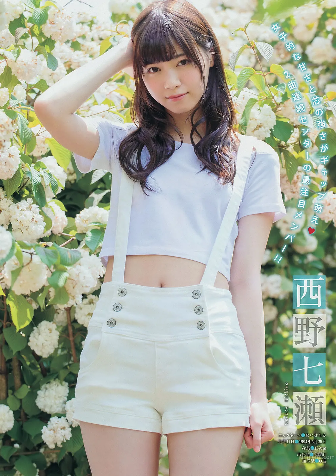 [Young Magazine] 2014 No.29 30 坛蜜 西野七瀬 桥本奈々未 小嶋阳菜 久保ユリカ_19