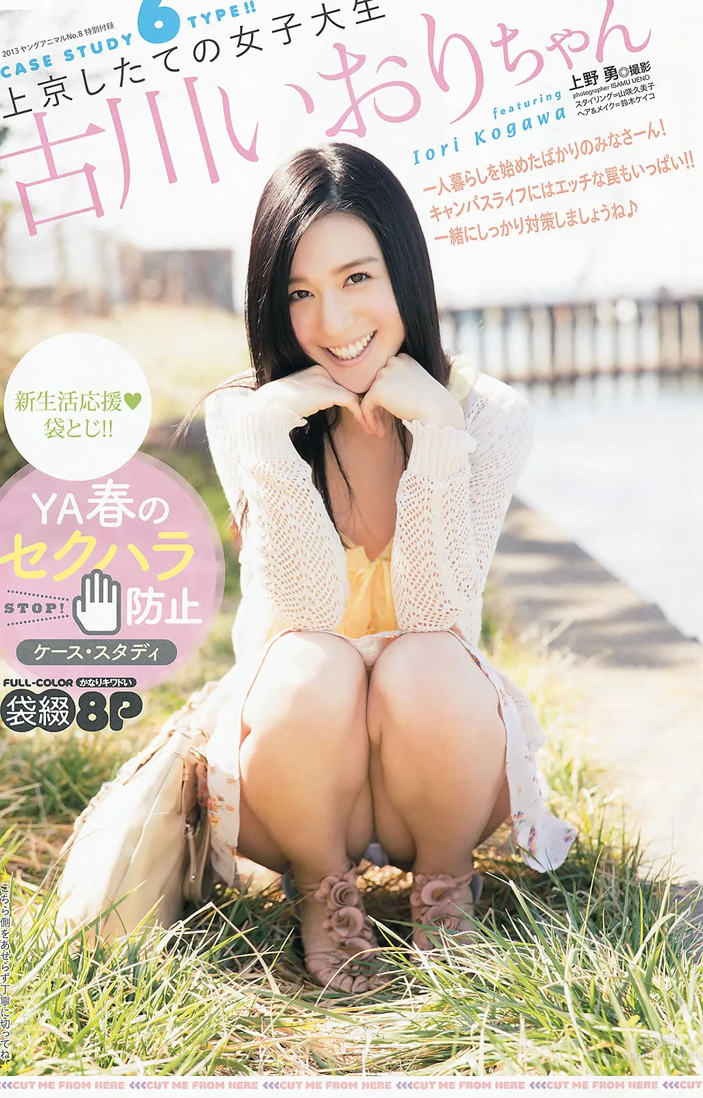 [Young Animal] 2013 No.07 08 09 白石麻衣 筱崎爱 纱绫 古川いおり_27