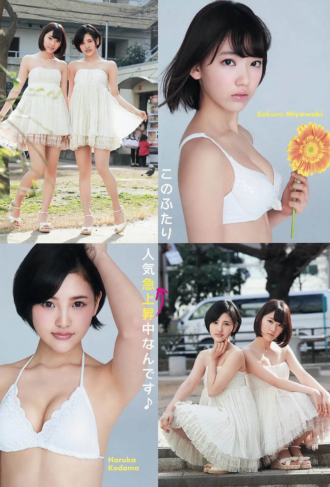 [Young Animal] 2015 No.10 11 宫脇咲良 儿玉遥 朝长美桜 松冈菜摘 穴井千寻 おのののか 羽宫千皓_5