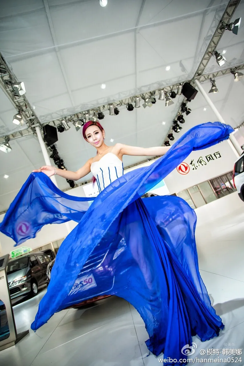 Han Meina, FAW Audi Tour Signed Car Model photo 28