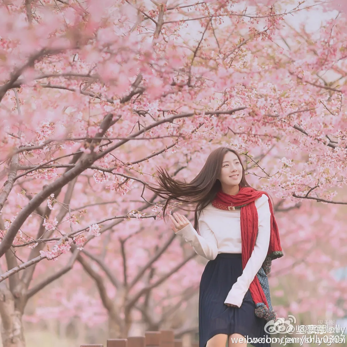 Lolly Zhangying, Super Eye-Catching Elegant Beauty Photos photo 40