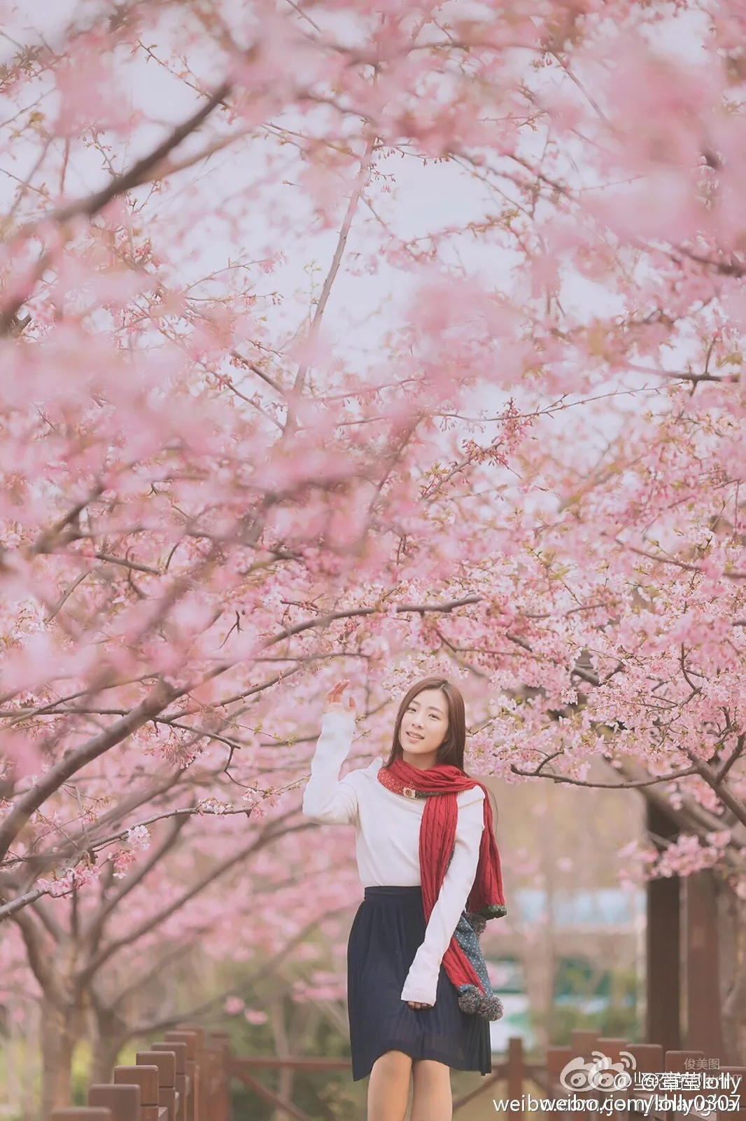 Lolly Zhangying, Super Eye-Catching Elegant Beauty Photos photo 47