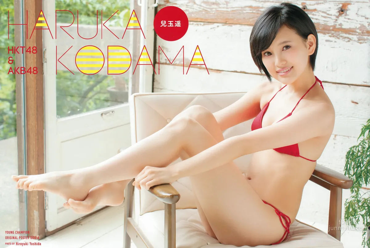 [Young Champion] 2015 No.16 17 秋元真夏 深川麻衣 中野佑美 兒玉遥 片岡沙耶 [34P]_2