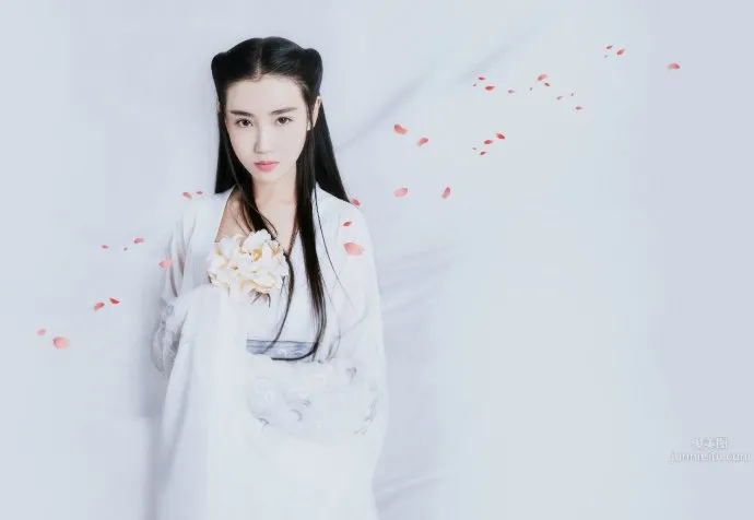 張辛苑- 氣質女神唯美寫真 5