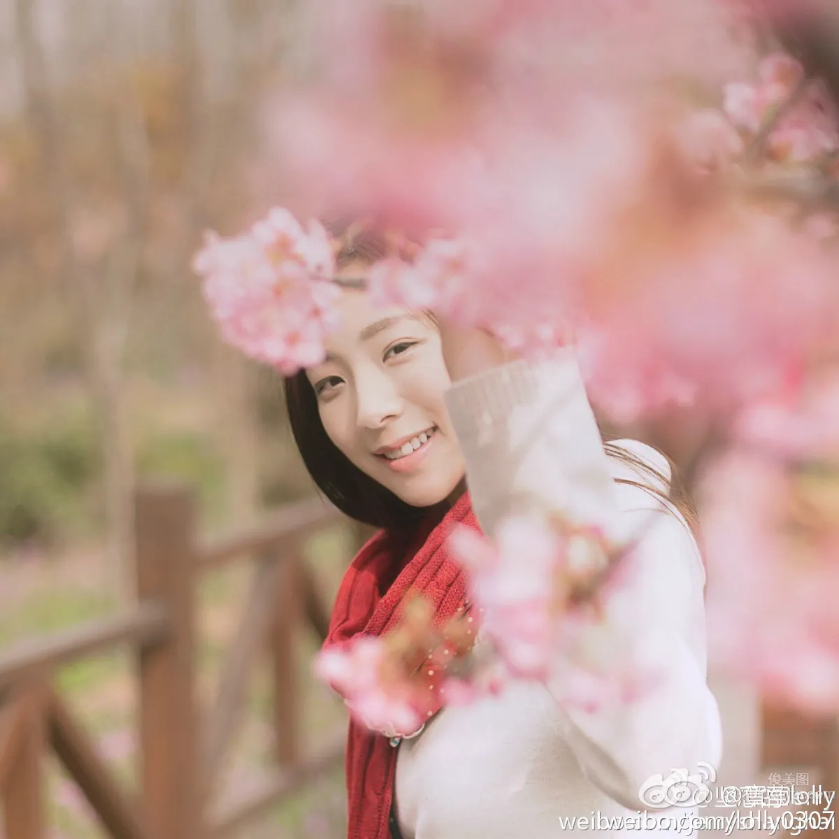 Lolly Zhangying, Super Eye-Catching Elegant Beauty Photos photo 44
