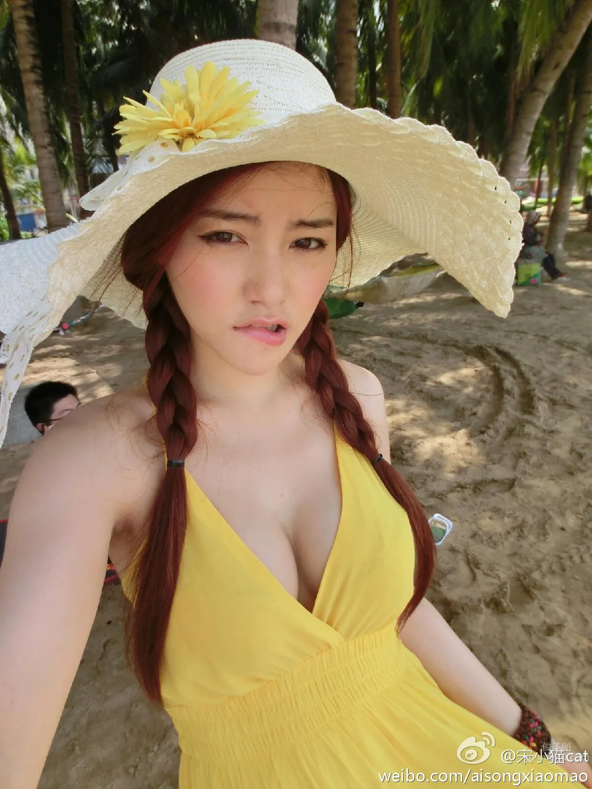Song Xiaomao: cat photo 19