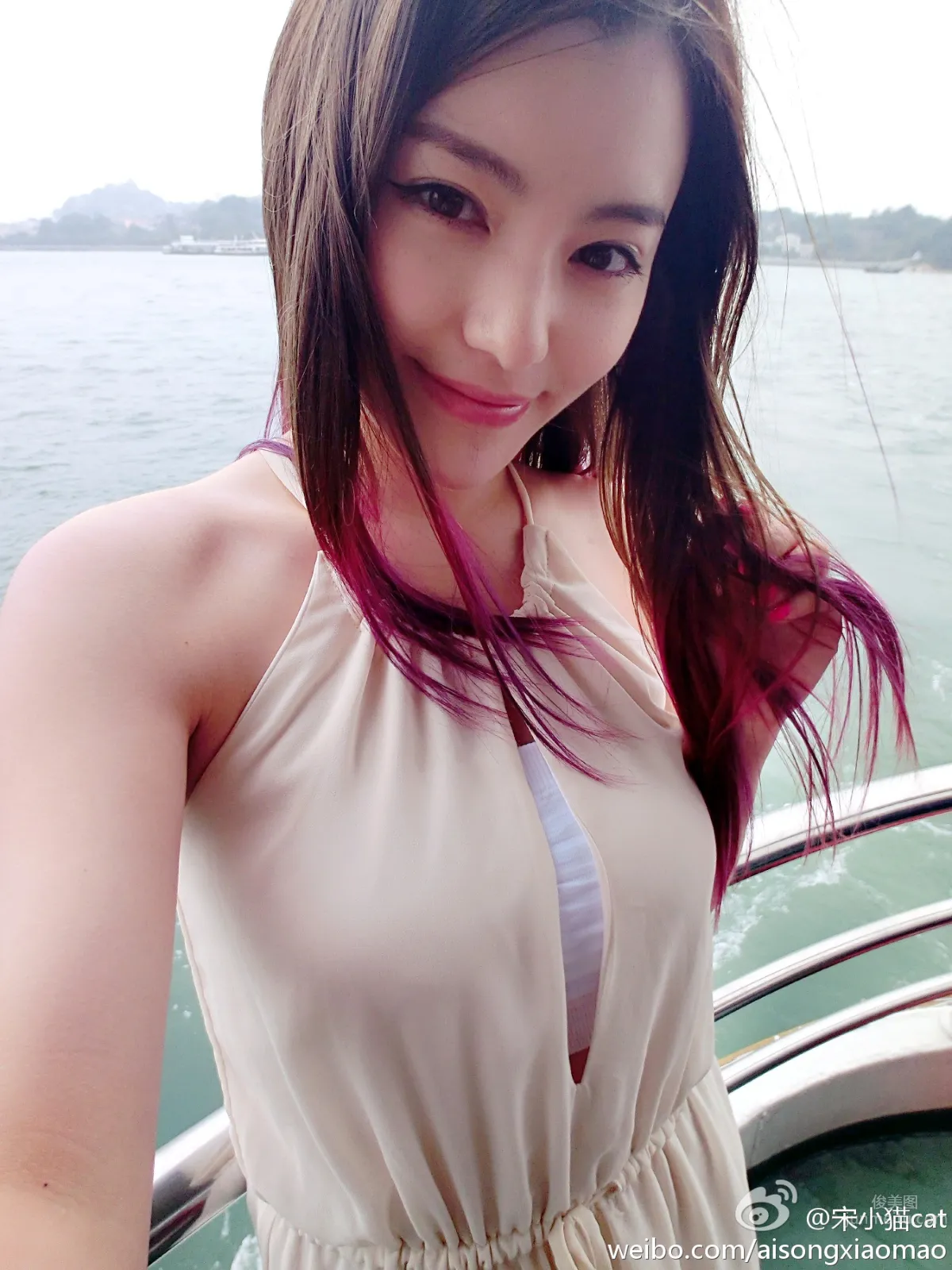 Song Xiaomao: cat photo 16