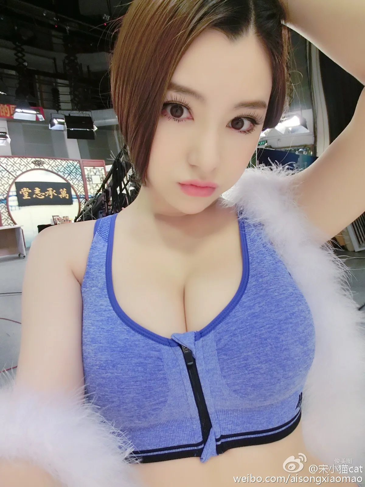 Song Xiaomao: cat photo 25