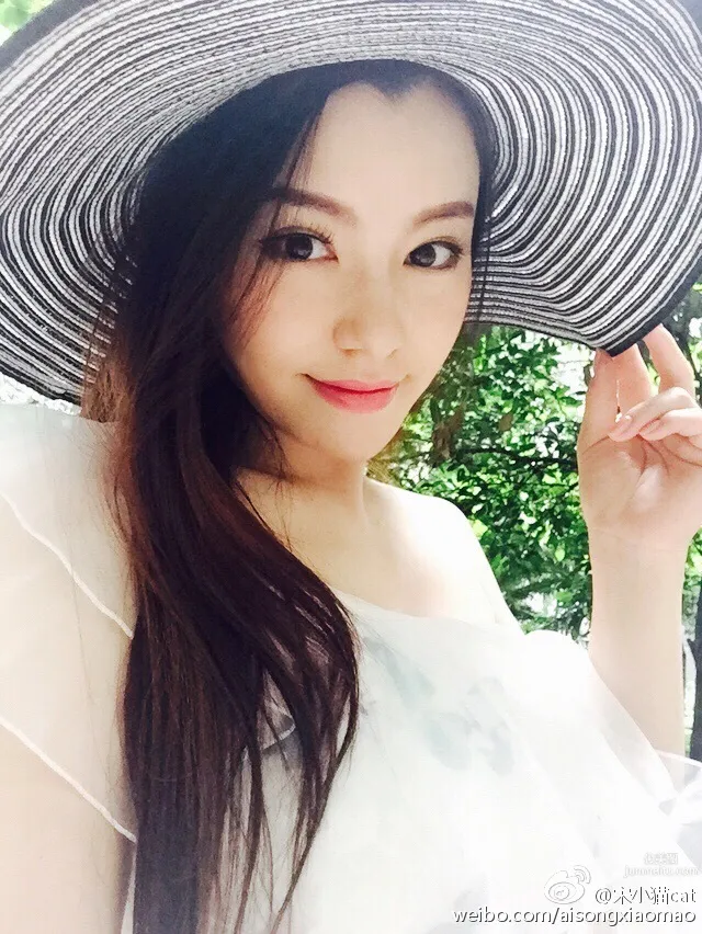 Song Xiaomao: cat photo 2
