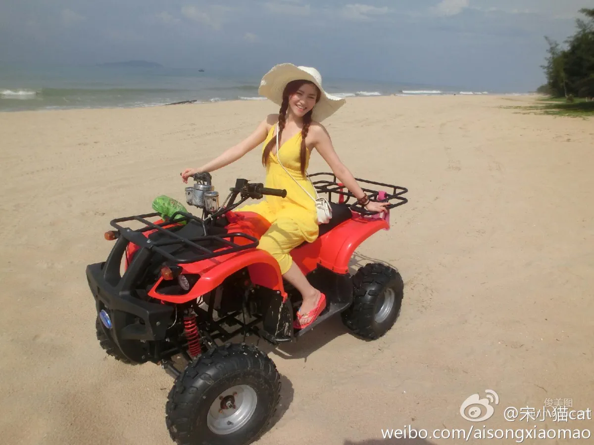 Song Xiaomao: cat photo 20