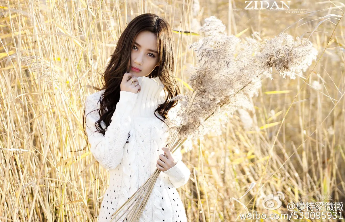 Liang Weiwei - Cold and Sexy Photo photo 11