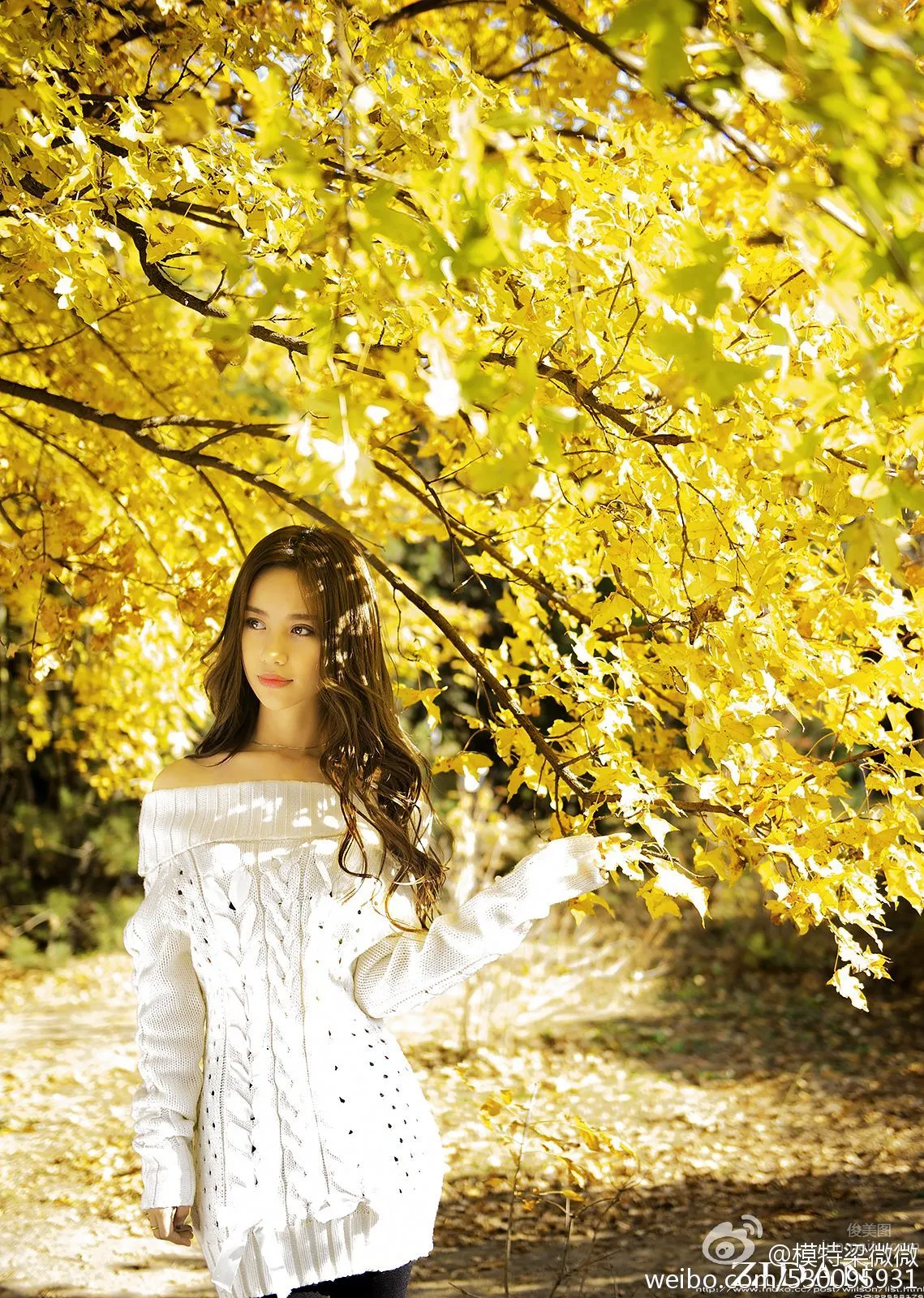 Liang Weiwei - Cold and Sexy Photo photo 12