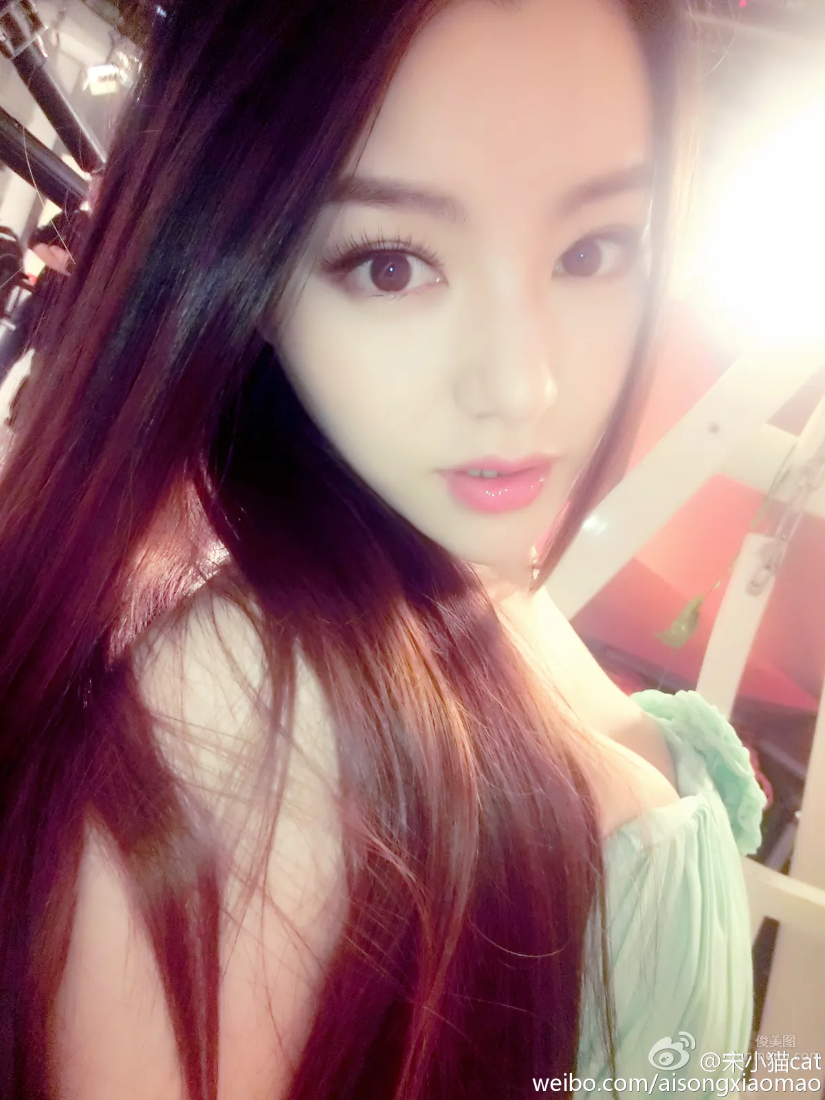 Song Xiaomao: cat photo 3