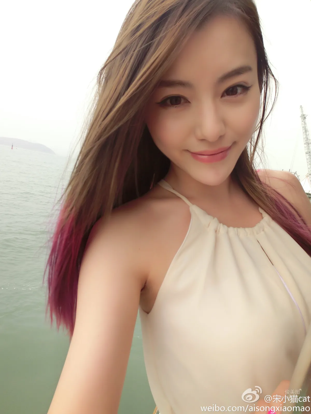 Song Xiaomao: cat photo 17