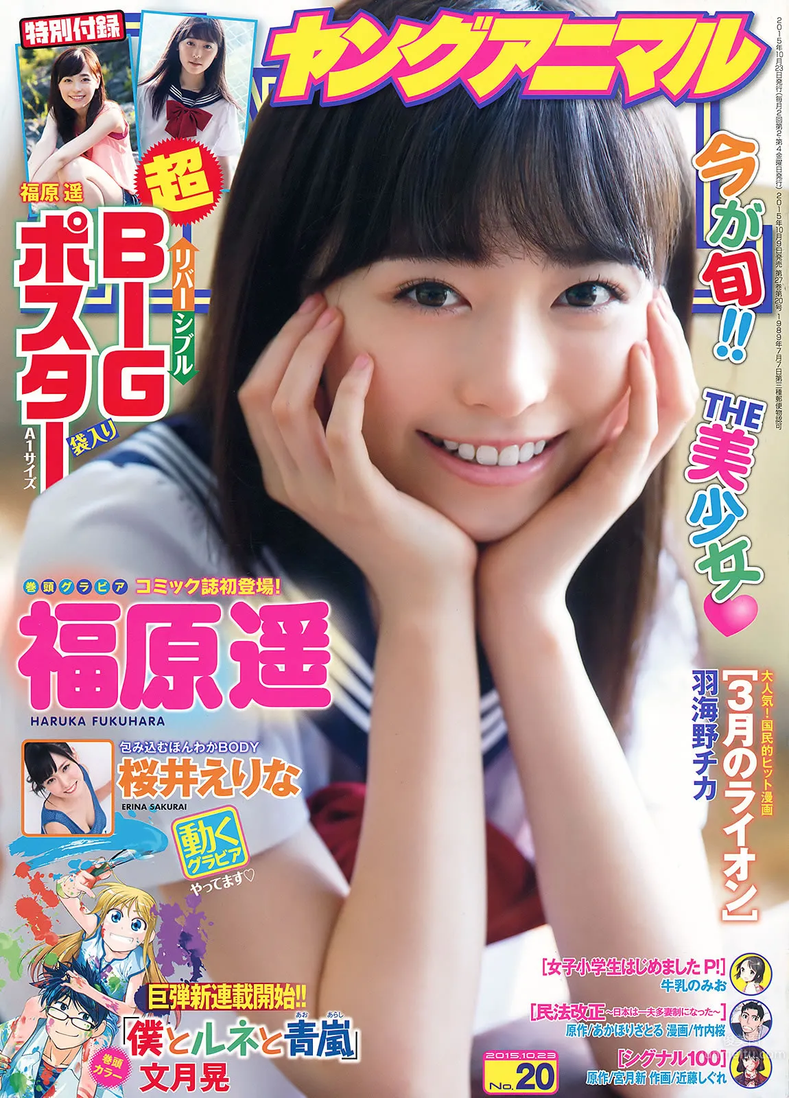 [Young Animal] 2015 No.20-21 福原遥 桜井えりな 兒玉遥 神志那結衣 HKT48 [45P]_1