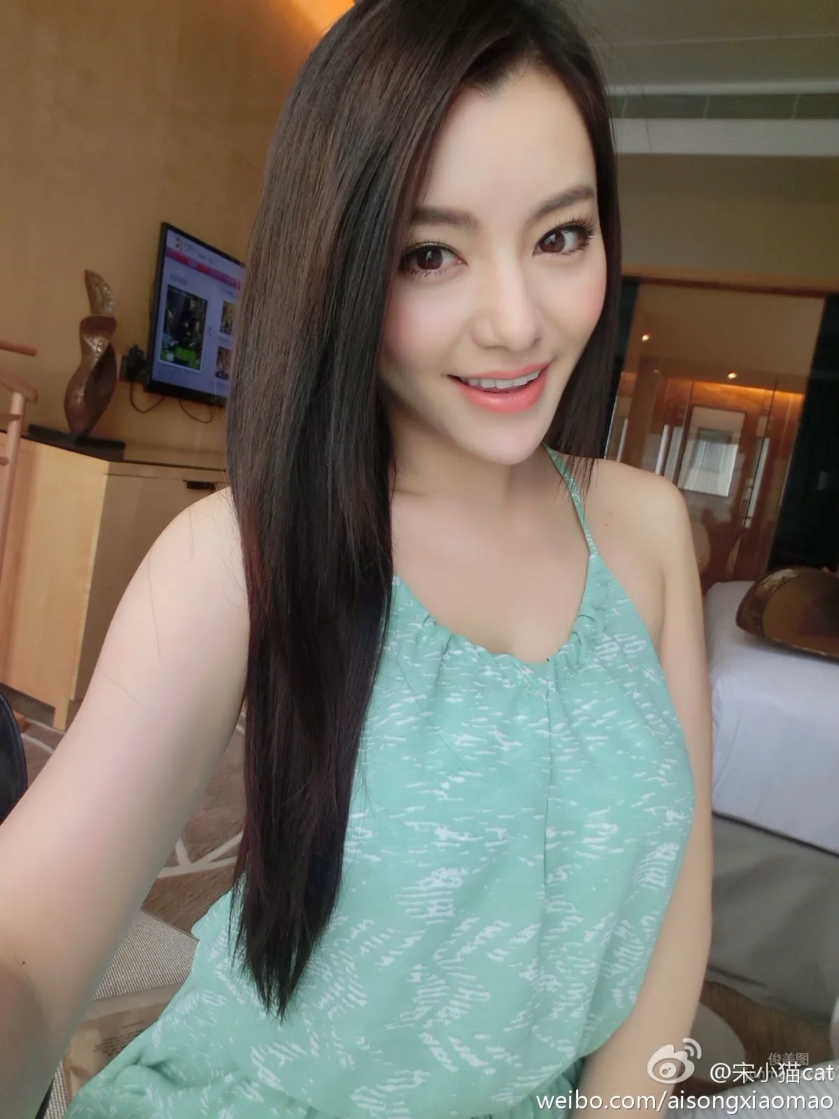 Song Xiaomao: cat photo 14