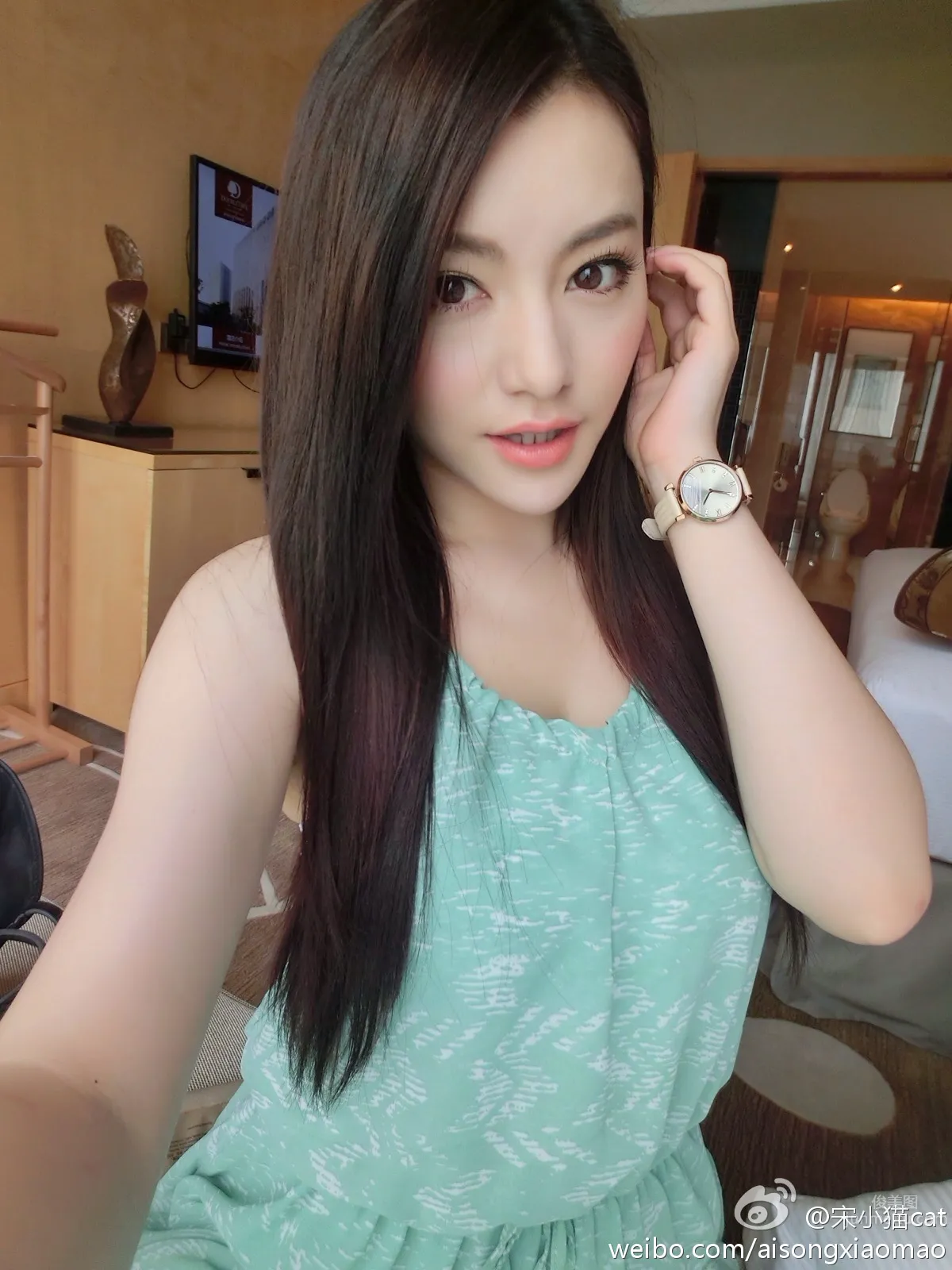 Song Xiaomao: cat photo 13