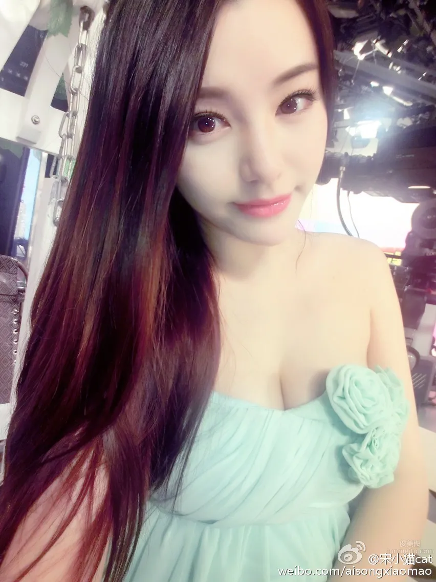 Song Xiaomao: cat photo 4