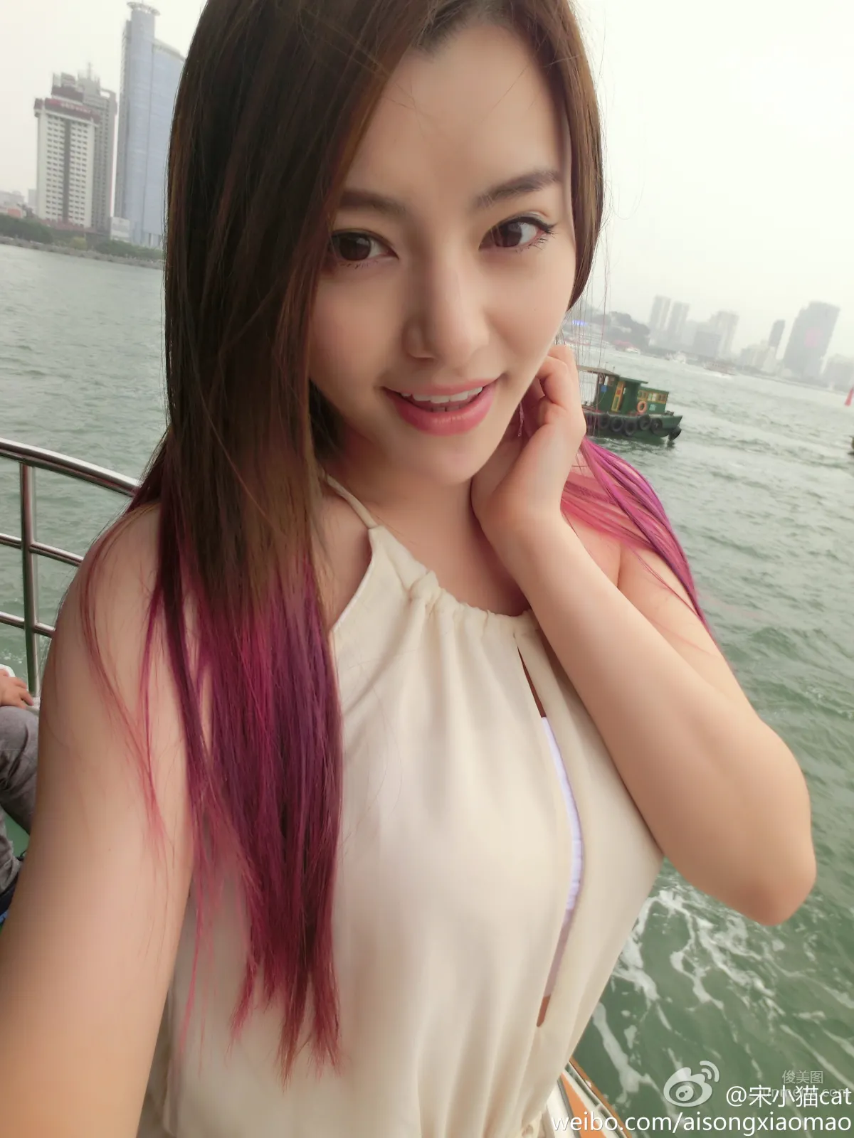 Song Xiaomao: cat photo 15