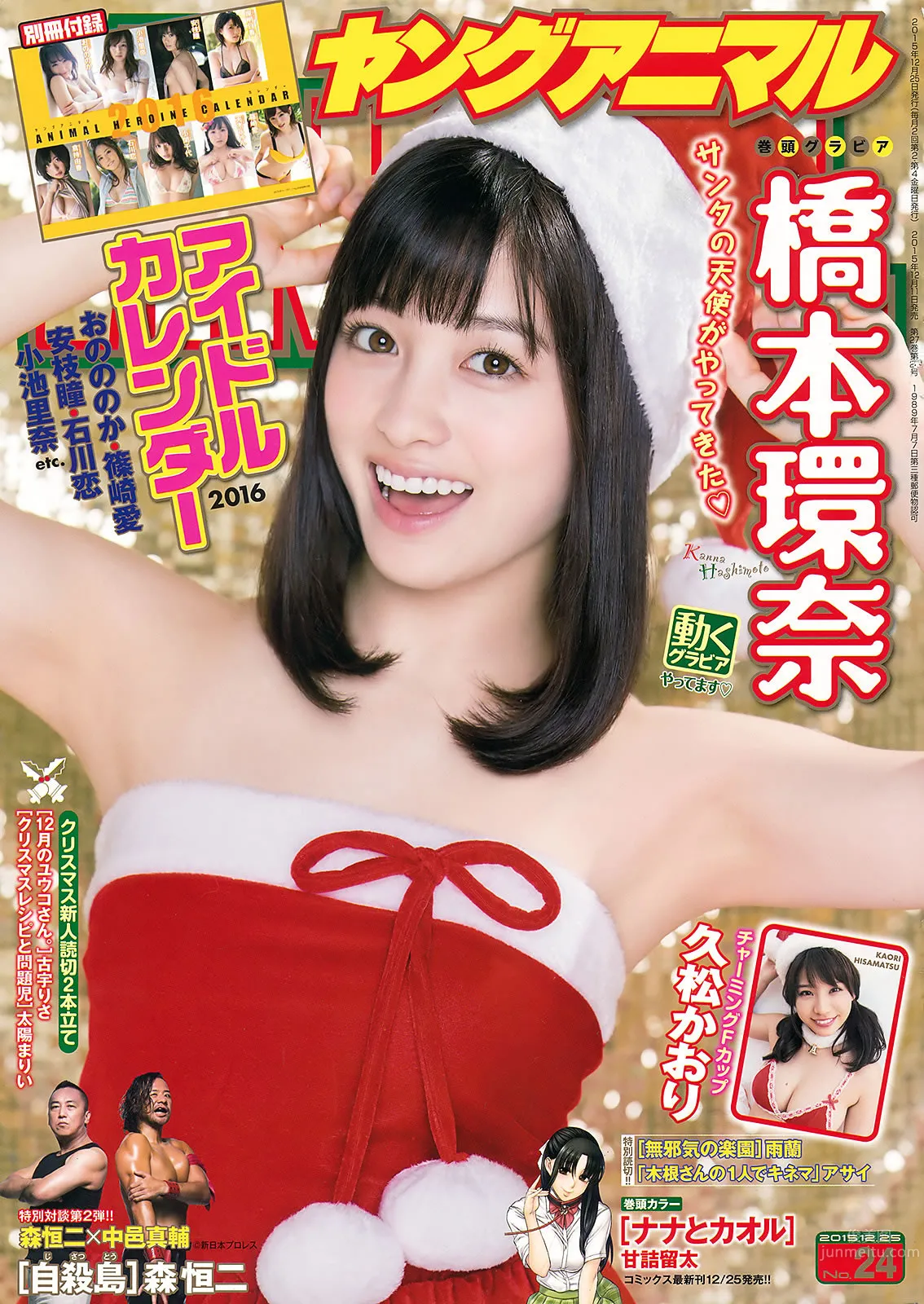 [Young Animal] 2016 No.01 篠崎愛 橋本環奈 久松かおり 1