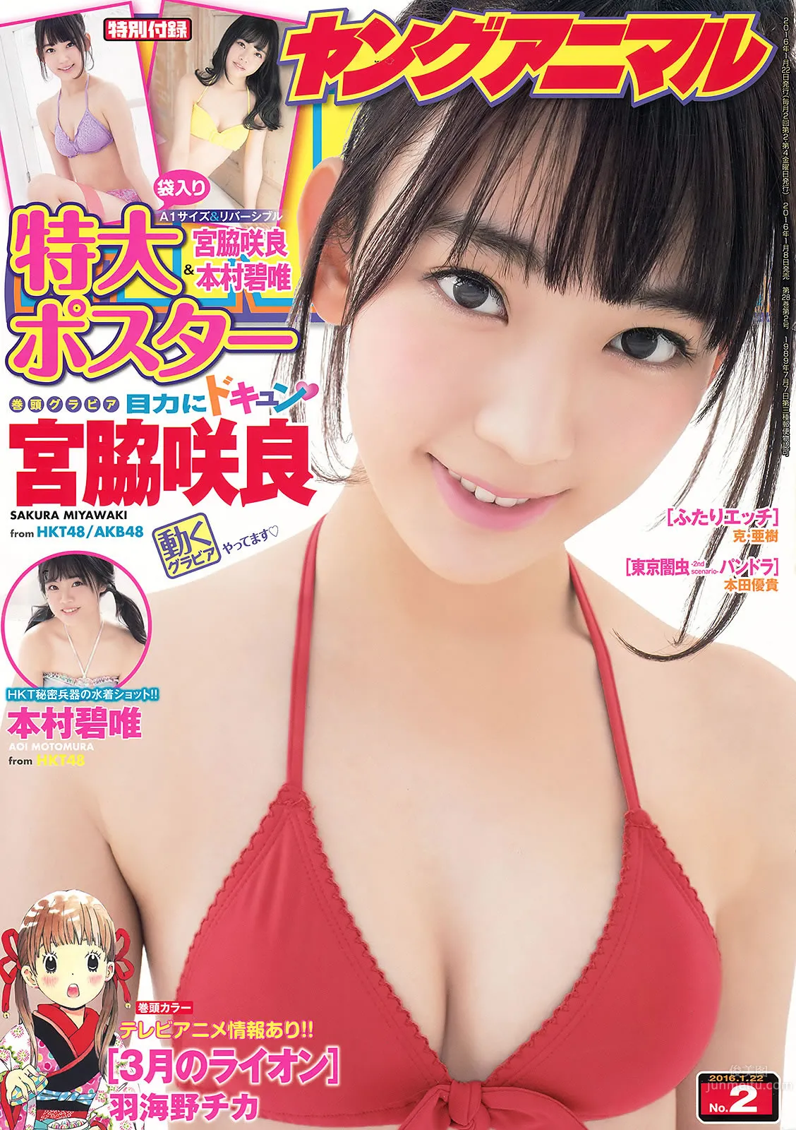 [Young Animal] 2016 No.02 03 宮脇咲良 本村碧唯 朝長美桜 渕上舞_1
