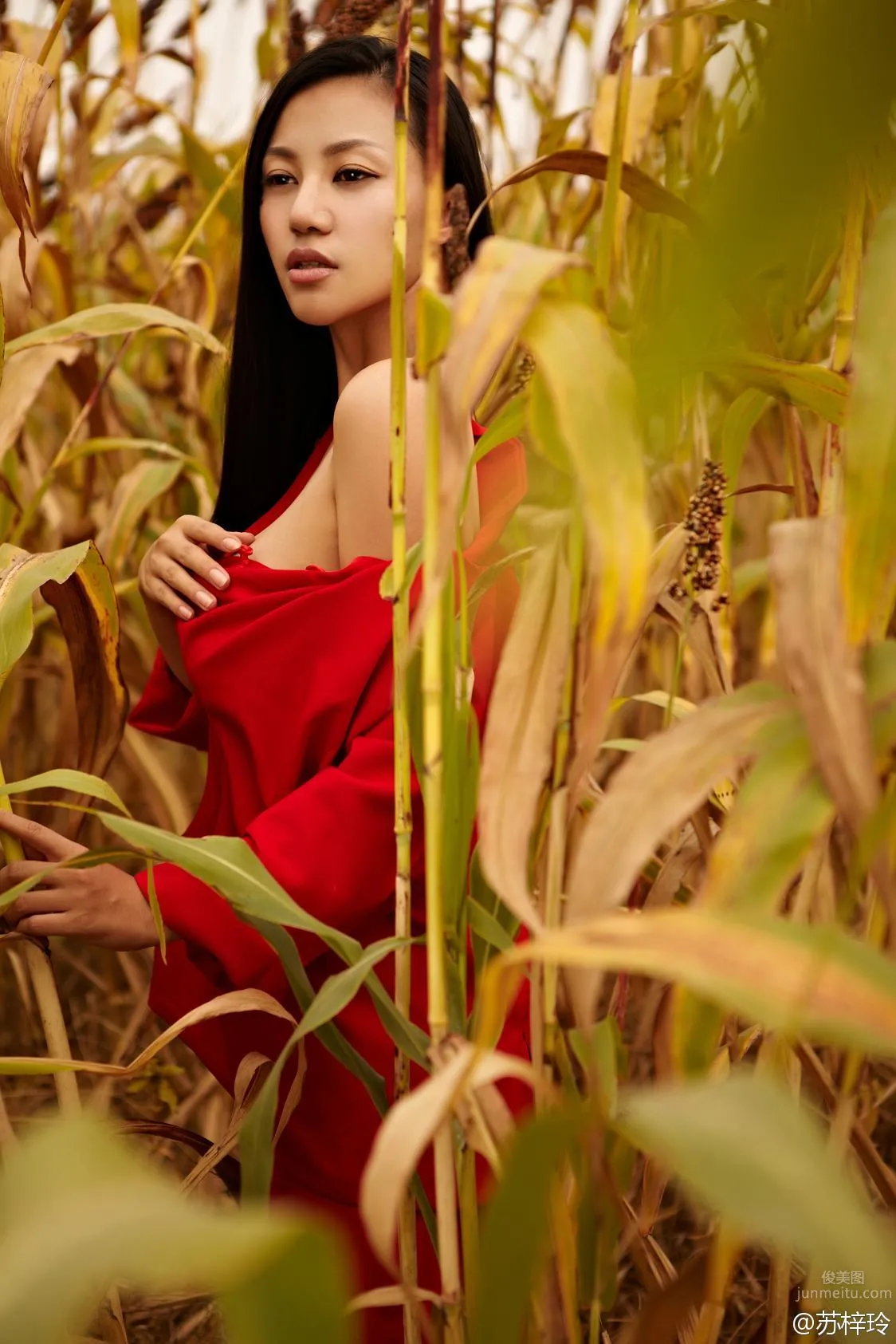 Su Ziling, Concept Edition Static Photos, Big Breasts and Full Hips photo 35